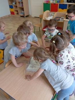 IMG_20250414_122405