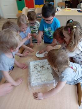 IMG_20250414_122414
