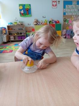 IMG_20250417_110223