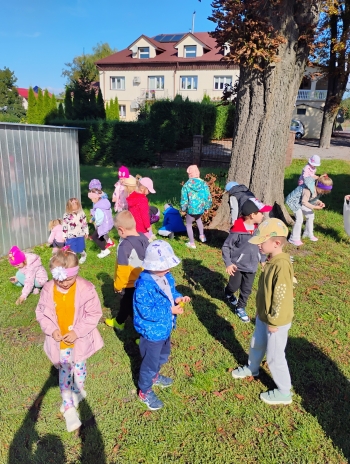 IMG_20250918_101821756_AE