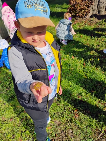 IMG_20250918_101854639_AE