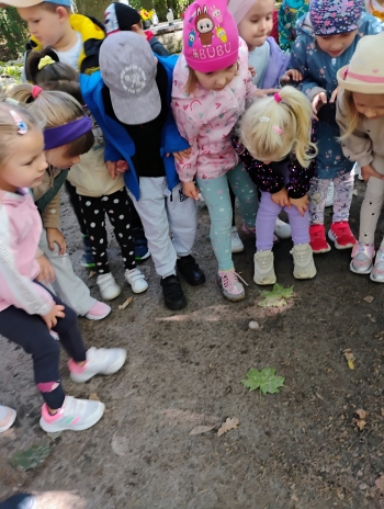 IMG_20250918_103332413_AE