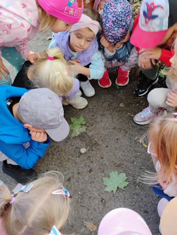 IMG_20250918_103353310_AE