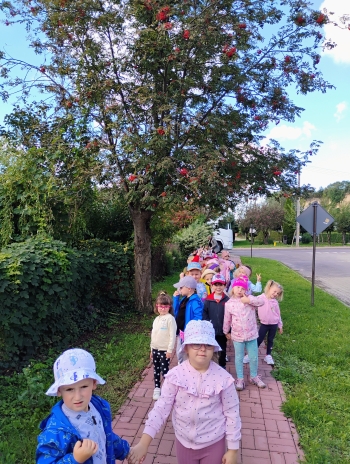 IMG_20250918_104104122_AE