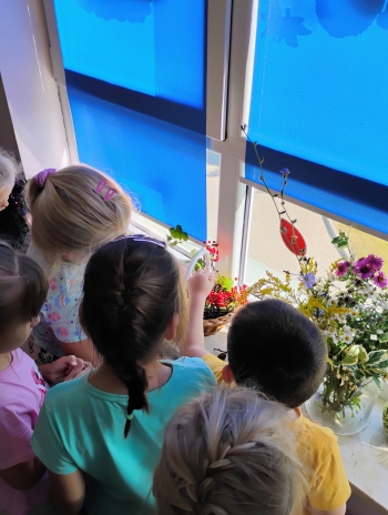 IMG_20250918_111405862_HDR_AE