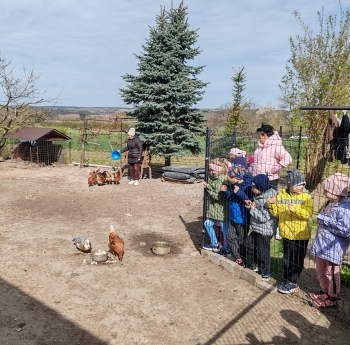 IMG_20260414_102358_edit_249103453114972