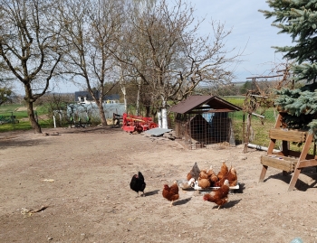 IMG_20260414_102457_edit_249122972819860