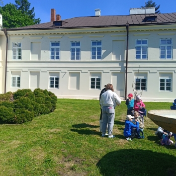 IMG20260514101101