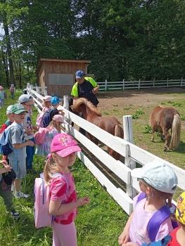 IMG_20260525_110518