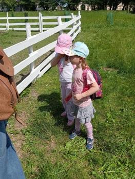 IMG_20260525_110522