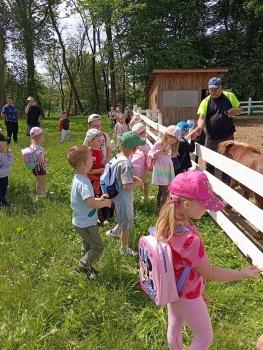 IMG_20260525_110516
