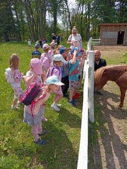 IMG_20260525_110219
