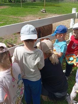IMG_20260525_105355