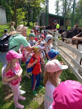 IMG_20260525_105042