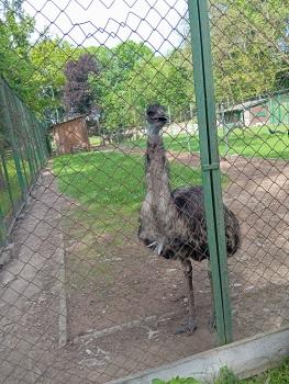 IMG_20260525_104447