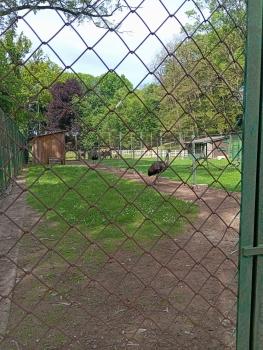 IMG_20260525_104357