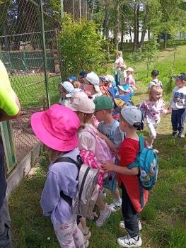 IMG_20260525_104353