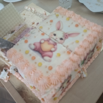 IMG20260630101909