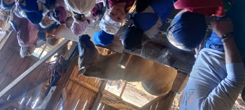 IMG_20260929_085523_HDR