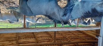 IMG_20260929_091051_HDR
