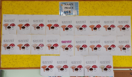 Wiersz ''Grzyby'' - realizacja kolejnego zadania z projektu czytelniczego. 