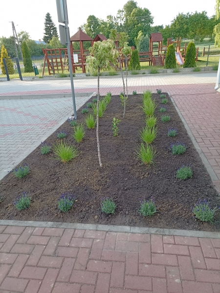 Nowa rabata przed przedszkolem dzięki hojności Centrum Ogrodniczego Jaworex