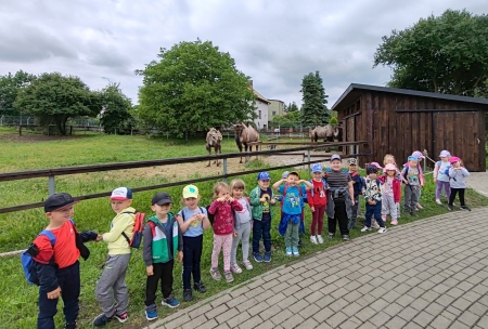 Wyjazd do ZOO w Zamościu 